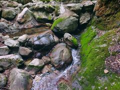 -牛背梁国家森林公园