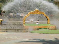 -西双版纳原始森林公园