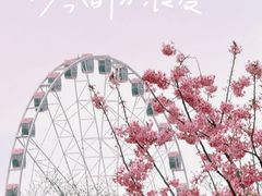 -顾村公园