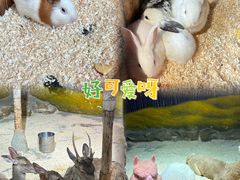 -正佳雨林生态植物园