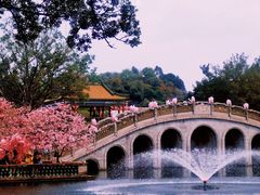 -宝墨园景区