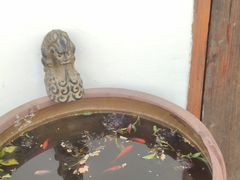 -食戟