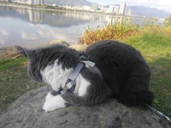 -飞来湖湿地公园