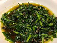 -大鸿运酒店·苏州菜·松鼠桂鱼(观前街店)