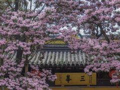 -常熟方塔园