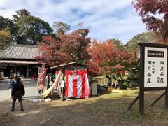 -醍醐寺