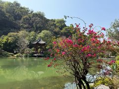 -云溪植物园
