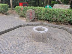 -上海佘山国家森林公园天马山园