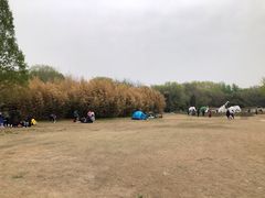 -廊坊市自然公园