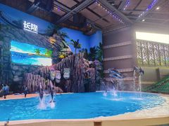 -珠海长隆海洋王国