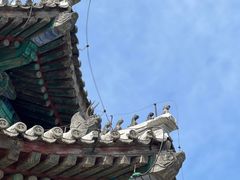 -颐和园