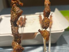 -红柳枝滩羊烧烤·非遗