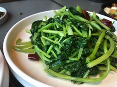 炝炒鸡毛菜-日上三甘(三里屯店)