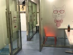 -伟伟宠物医院·CT影像中心·瑞派犬猫综合性门诊(汉口总院)