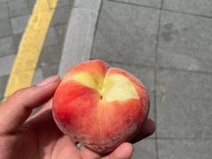 -南山文体中心-游泳馆