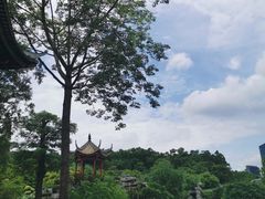 -顺峰山公园