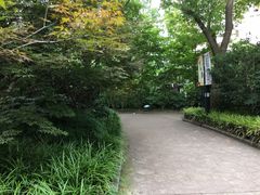 -兰溪青年公园