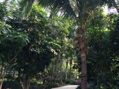 -三亚湾海居铂尔曼度假酒店