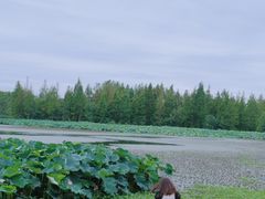 -白鹭湾湿地公园