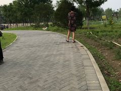 -东郊湿地公园