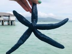 -白沙滩
