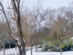 -佛手湖郊野公园