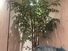 -康逸居·始于2002(海安店)