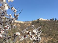 -辛玛王国游乐园