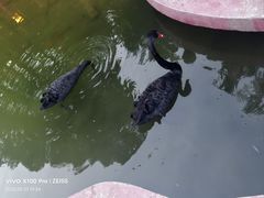 -西安曲江寒窑遗址公园