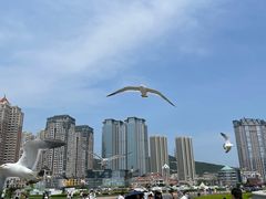 -星海广场