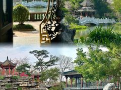 -顺峰山公园