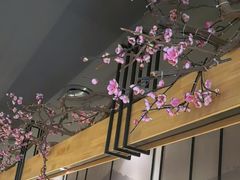 -老板恋上鱼(环山路店)