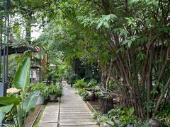 -谷咖啡·鲜花绿植花园餐厅