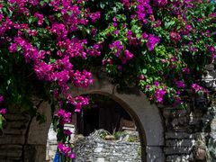 -高荡千年布依古寨旅游景区