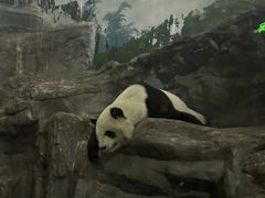 -鄂尔多斯野生动物园