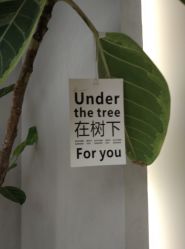 -颜蕾医美·黄金微针·水光·玻尿酸·超声炮·抗衰中心