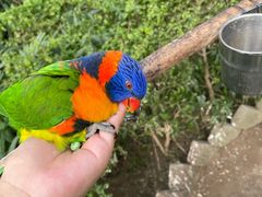 -南宫五洲植物乐园