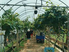 -美家乐农庄·露营·团建(大治路店)