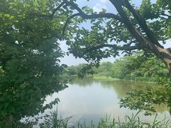 -木守西溪溪隐餐厅