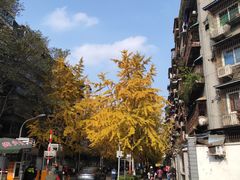 -四川大学(望江校区)