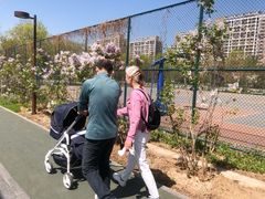 -回龙观体育文化公园