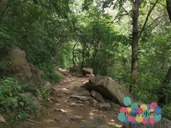 -碓臼峪自然风景区