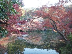 -醍醐寺