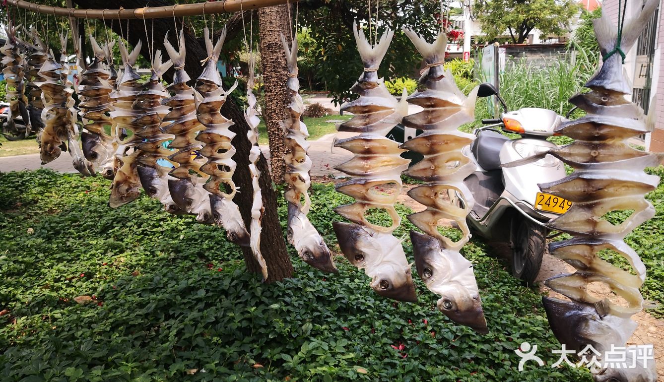 顺德美食一小片