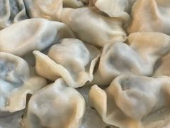 韭菜鲜肉饺-北方北手工饺子坊(北京路店)