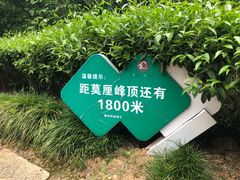 -雨花胜境