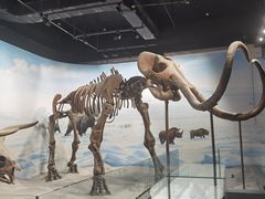 -辽宁古生物博物馆
