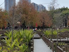 -五缘湾湿地公园