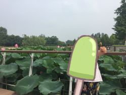 -大望京儿童游乐场