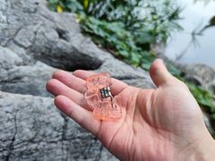 -眉州小吃(魏公村店)